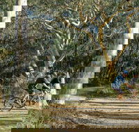 Bundanoon cycling route - Australia Accommodation
