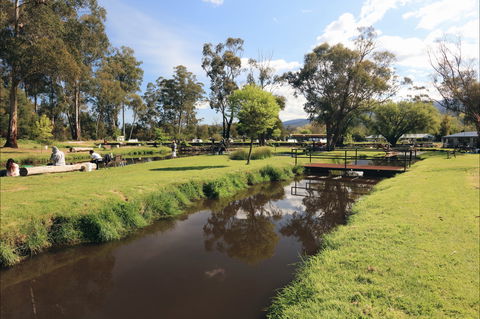 Buxton Trout And Salmon Farm - Australia Accommodation 1