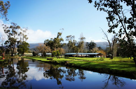 Buxton Trout And Salmon Farm - Australia Accommodation 2