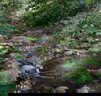 Cascades picnic area - Australia Accommodation