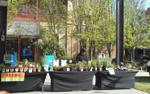 Clare Show Market - Australia Accommodation 0