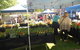 Clare Show Market - thumb 1