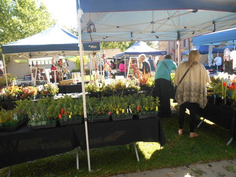 Clare Show Market - Australia Accommodation 1