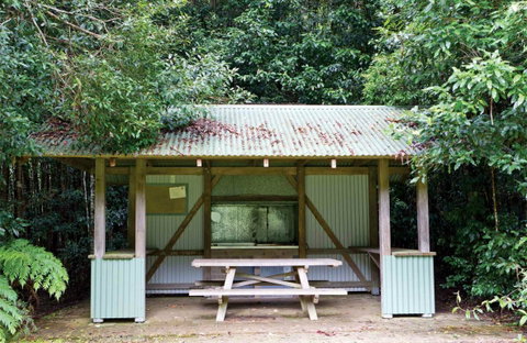 Coachwood Picnic Area - Australia Accommodation 0