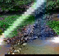 Crystal Shower Falls Walk - Australia Accommodation