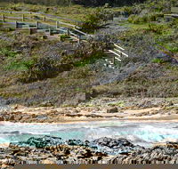 Dammerels History Walk - Australia Accommodation