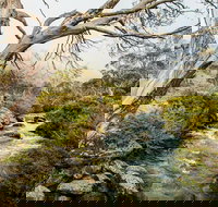 Dead Horse Gap walking track - Australia Accommodation