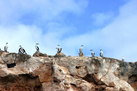 Dirk Hartog Island National Park - Australia Accommodation 0
