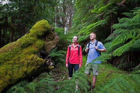 Grand Strzelecki Track - Australia Accommodation 0