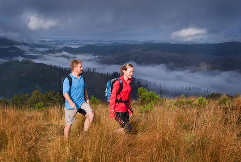Grand Strzelecki Track - Australia Accommodation 1