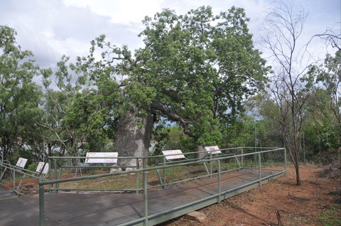 Gregory's Tree, Timber Creek - Australia Accommodation 1