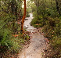 Great North walk - Brisbane Water National Park - Australia Accommodation