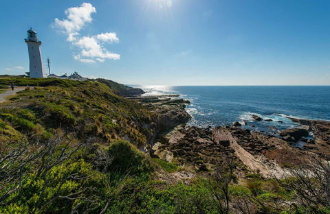 Green Cape Lookout - Australia Accommodation 0