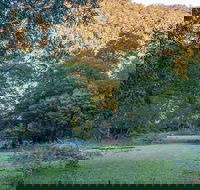 Griffins walking track - Australia Accommodation