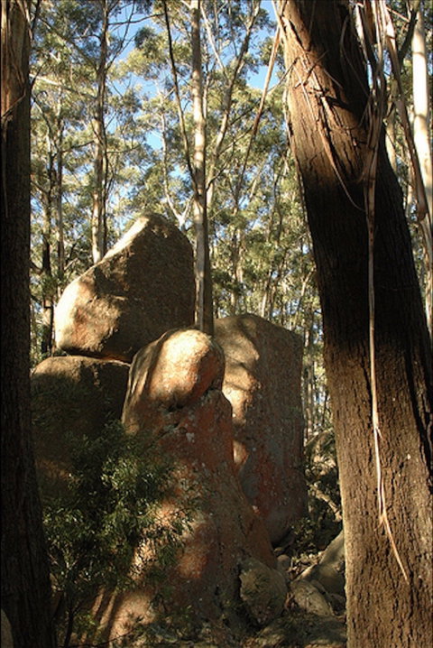 Gulaga National Park - Australia Accommodation 0