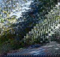 Hastings Forest Way Touring Route - Australia Accommodation
