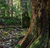 Hidden Treasure Track - Australia Accommodation