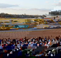 Ipswich Motorsport Precinct - Australia Accommodation