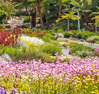 Jurassic Garden AR Experience - Australia Accommodation