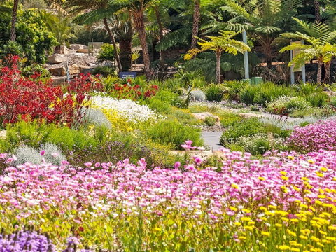 Jurassic Garden AR Experience - Australia Accommodation 0