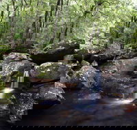 Kangaroo River - Australia Accommodation