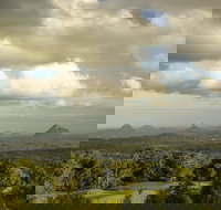 Mary Cairncross Scenic Reserve Rainforest Walk - Australia Accommodation