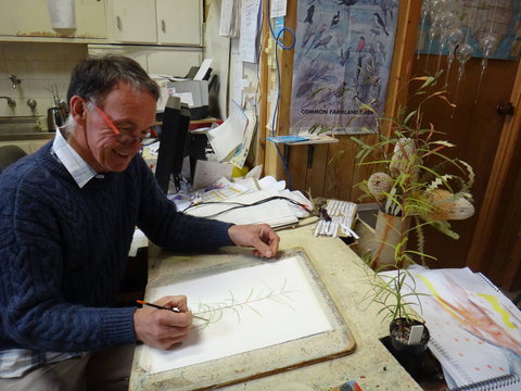 Medika Gallery - Australia Accommodation 0