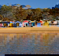 Mills Beach - Mornington - Australia Accommodation