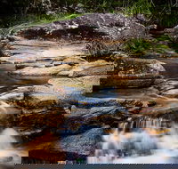 Mothar Mountain Rockpools - Australia Accommodation