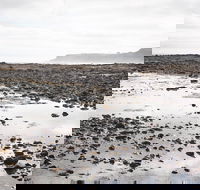 Mushroom Reef Beach - Australia Accommodation