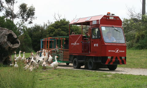 Myuna Farm - Australia Accommodation 2
