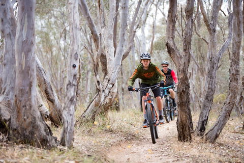 Nail Can Hill - Australia Accommodation 1