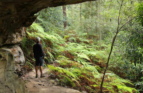 Old Great North Road Bike Ride - Australia Accommodation 0