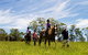 Port Macquarie Horse Riding Centre - thumb 0
