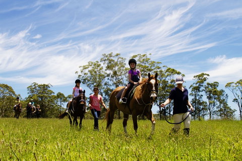 Port Macquarie Horse Riding Centre - Australia Accommodation 0