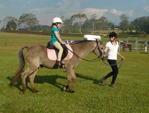 Port Macquarie Horse Riding Centre - Australia Accommodation 1
