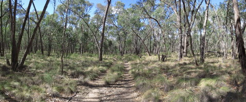Reef Hills State Park - Australia Accommodation 0