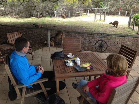Rustic Blue Gallery Cafe Day Spa - Australia Accommodation 2