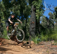 Scorpion Trail Kalamunda Mountain Bike Trails - Australia Accommodation