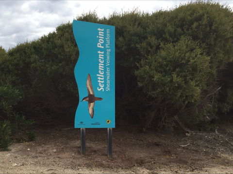 Settlement Point Viewing Platform - Australia Accommodation 2