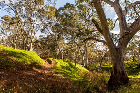 Shepherds Hill Recreation Park - Australia Accommodation 1