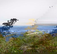 Slingsbys Trail and Syndicate Ridge Track - Australia Accommodation