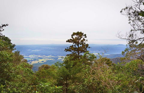 Slingsbys Trail And Syndicate Ridge Track - Australia Accommodation 0