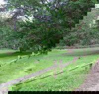 St Albans Reserve - Australia Accommodation