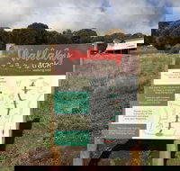 The Wallaby Track - Australia Accommodation