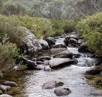 Thredbo River Track - Australia Accommodation