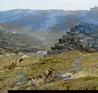 Thredbo Mountain Biking - Australia Accommodation