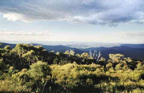 Vista Point Picnic Area - Australia Accommodation 0