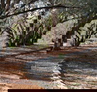 Warrego Floodplain walking track - Australia Accommodation