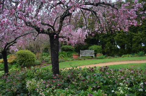Wildwood Garden - Australia Accommodation 2